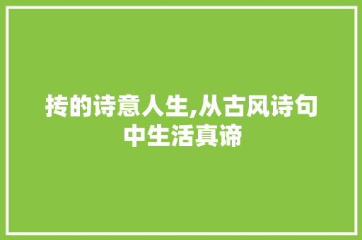抟的诗意人生,从古风诗句中生活真谛