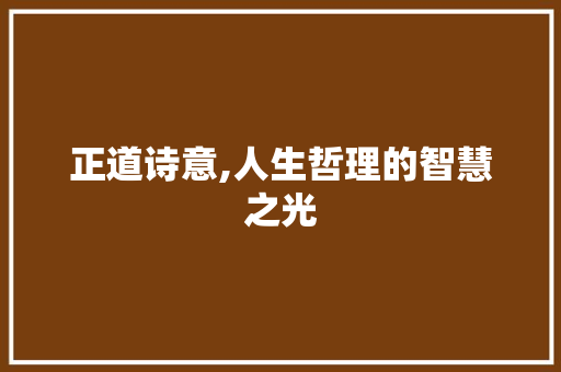 正道诗意,人生哲理的智慧之光