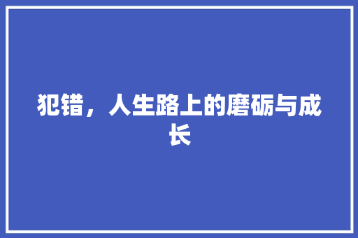 犯错，人生路上的磨砺与成长 工作总结