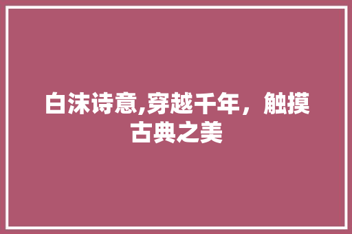 白沫诗意,穿越千年，触摸古典之美 工作总结