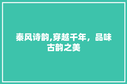 秦风诗韵,穿越千年，品味古韵之美 诗词体裁
