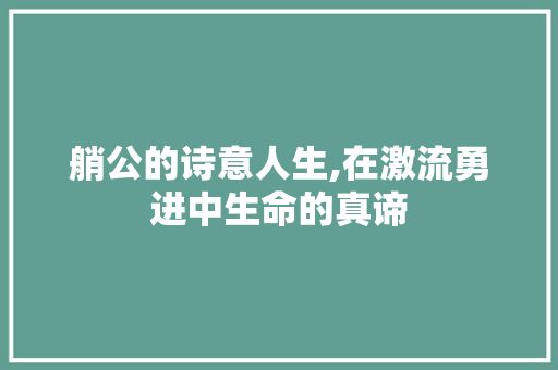 艄公的诗意人生,在激流勇进中生命的真谛
