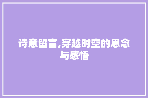 诗意留言,穿越时空的思念与感悟 诗词体裁