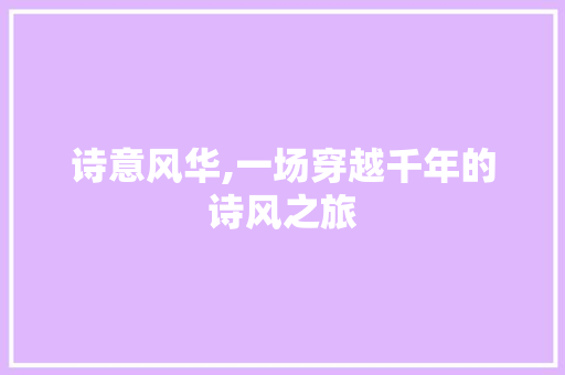诗意风华,一场穿越千年的诗风之旅