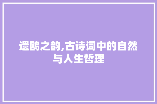 遗鸥之韵,古诗词中的自然与人生哲理