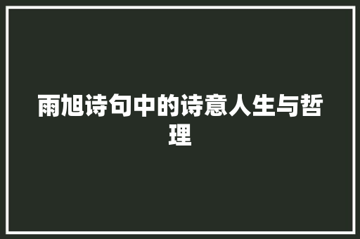 雨旭诗句中的诗意人生与哲理 会议纪要