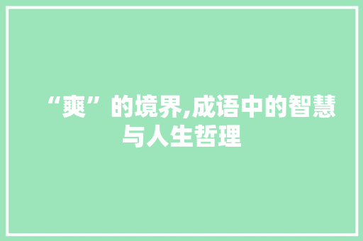 “爽”的境界,成语中的智慧与人生哲理