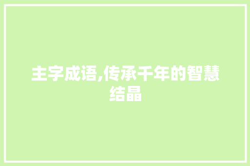 主字成语,传承千年的智慧结晶