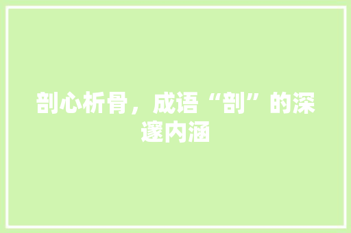 剖心析骨，成语“剖”的深邃内涵 会议纪要