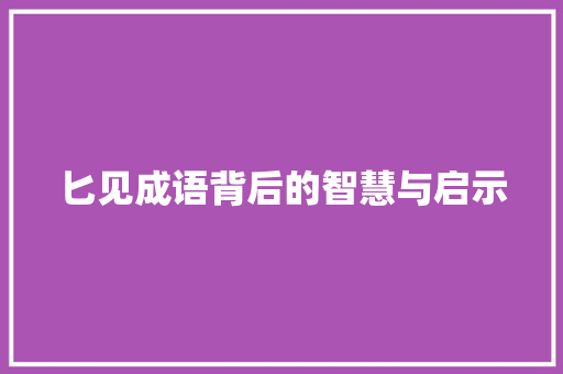 匕见成语背后的智慧与启示