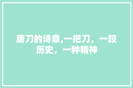 唐刀的诗意,一把刀，一段历史，一种精神