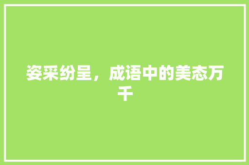 姿采纷呈，成语中的美态万千 项目报告