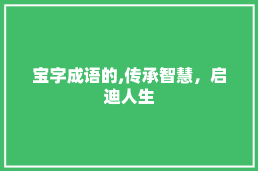 宝字成语的,传承智慧，启迪人生 社交媒体