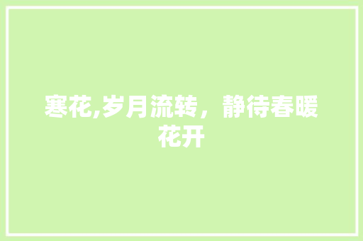 寒花,岁月流转，静待春暖花开