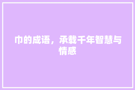 巾的成语，承载千年智慧与情感 应用文