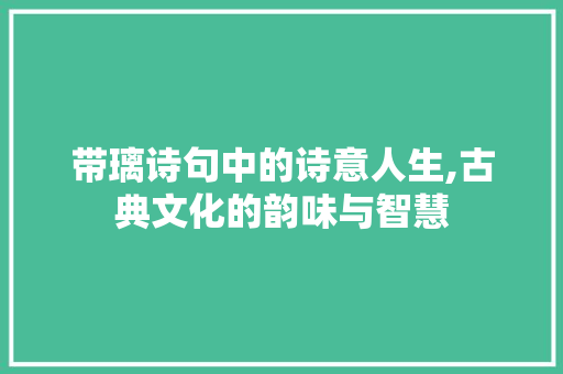 带璃诗句中的诗意人生,古典文化的韵味与智慧