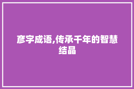彦字成语,传承千年的智慧结晶 会议纪要