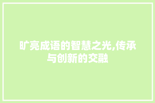 旷亮成语的智慧之光,传承与创新的交融 诗词体裁