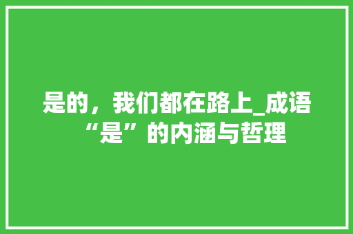 是的，我们都在路上_成语“是”的内涵与哲理