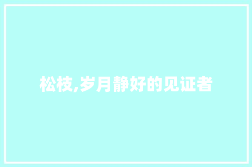 松枝,岁月静好的见证者