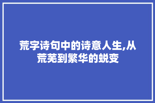 荒字诗句中的诗意人生,从荒芜到繁华的蜕变