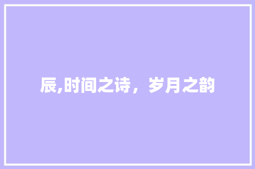 辰,时间之诗，岁月之韵 职场写作