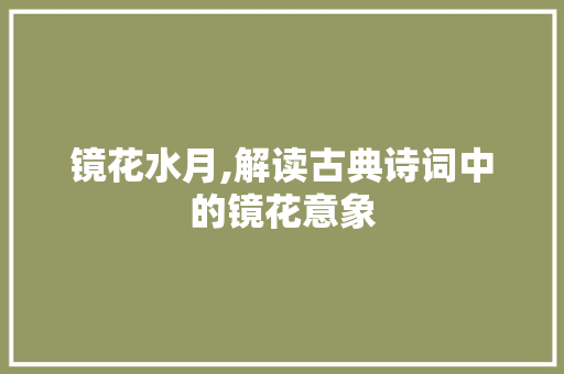 镜花水月,解读古典诗词中的镜花意象
