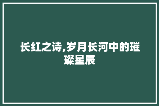 长红之诗,岁月长河中的璀璨星辰