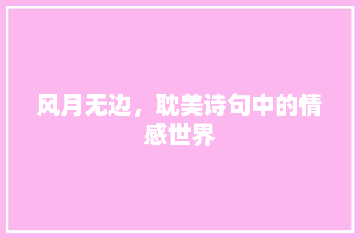 风月无边，耽美诗句中的情感世界