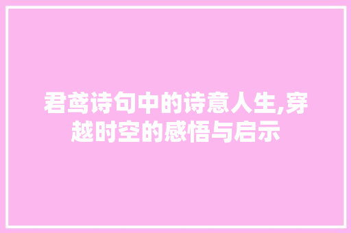 君鸢诗句中的诗意人生,穿越时空的感悟与启示