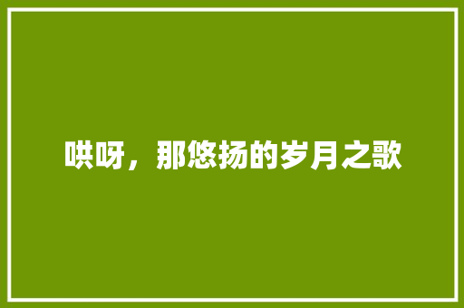 哄呀，那悠扬的岁月之歌 会议纪要