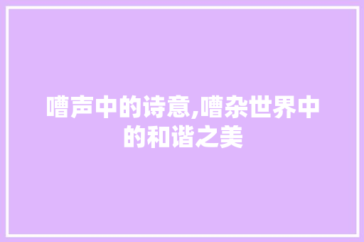 嘈声中的诗意,嘈杂世界中的和谐之美
