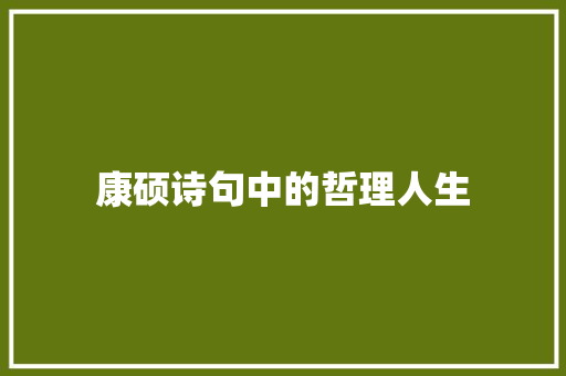 康硕诗句中的哲理人生