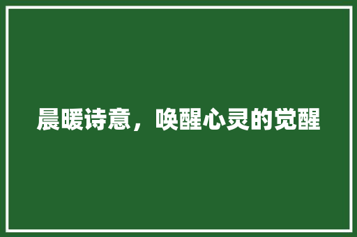 晨暖诗意，唤醒心灵的觉醒