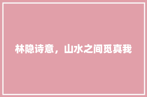 林隐诗意，山水之间觅真我 工作总结