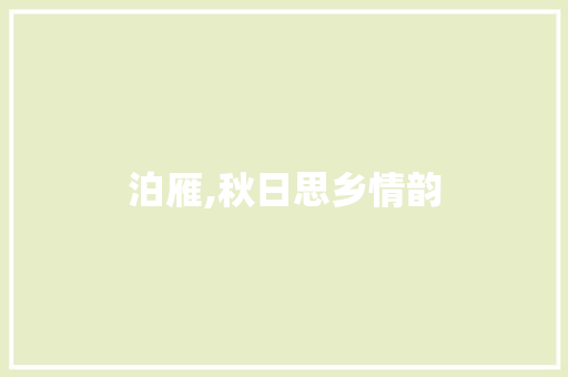 泊雁,秋日思乡情韵 职场写作