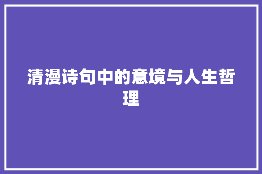 清漫诗句中的意境与人生哲理 工作总结