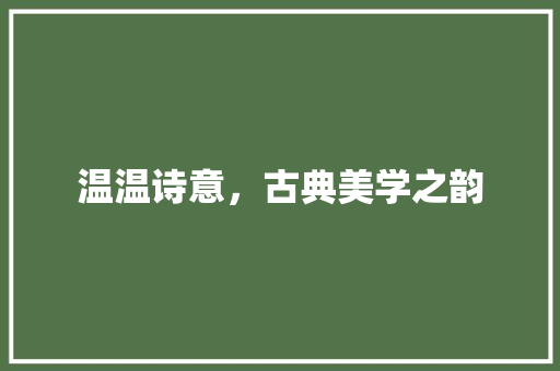 温温诗意，古典美学之韵 诗词鉴赏