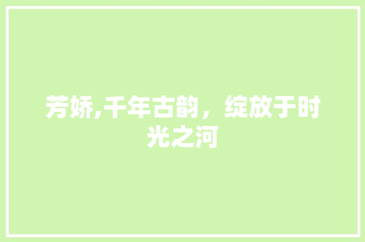 芳娇,千年古韵，绽放于时光之河