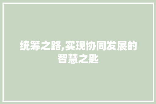 统筹之路,实现协同发展的智慧之匙