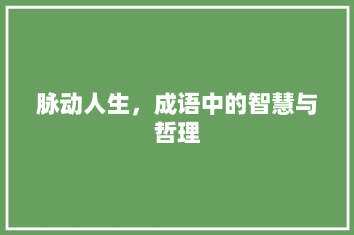 脉动人生，成语中的智慧与哲理