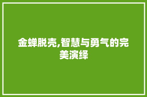 金蝉脱壳,智慧与勇气的完美演绎 职场写作
