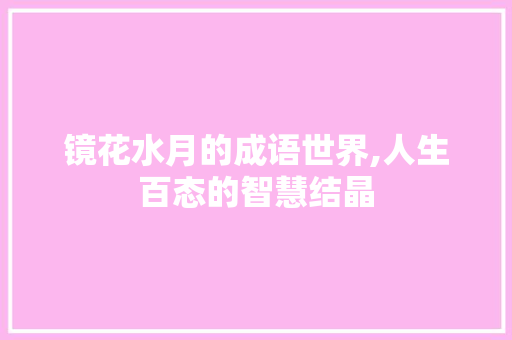 镜花水月的成语世界,人生百态的智慧结晶
