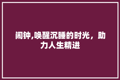 闹钟,唤醒沉睡的时光，助力人生精进 诗词鉴赏