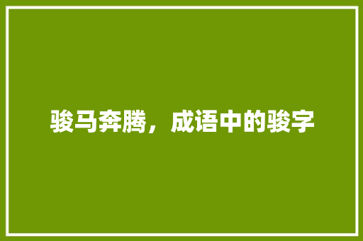 骏马奔腾，成语中的骏字