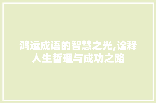 鸿运成语的智慧之光,诠释人生哲理与成功之路