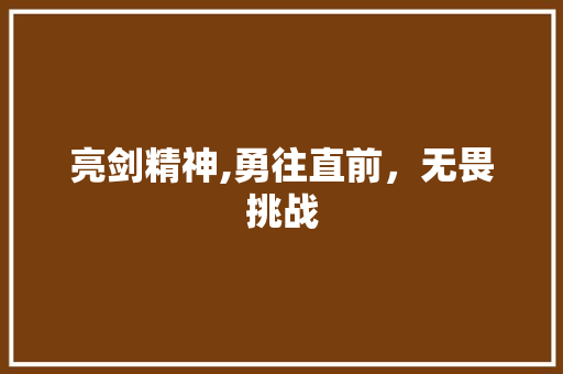 亮剑精神,勇往直前，无畏挑战