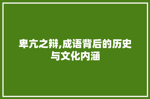 卑亢之辩,成语背后的历史与文化内涵