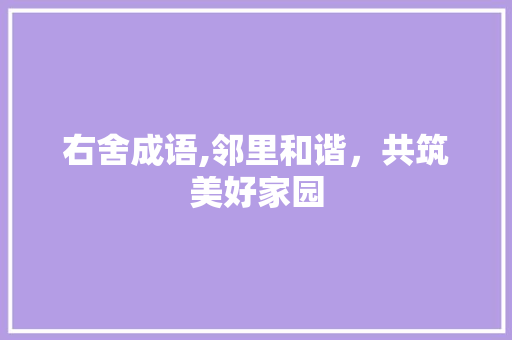 右舍成语,邻里和谐，共筑美好家园 工作总结