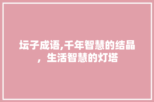 坛子成语,千年智慧的结晶，生活智慧的灯塔